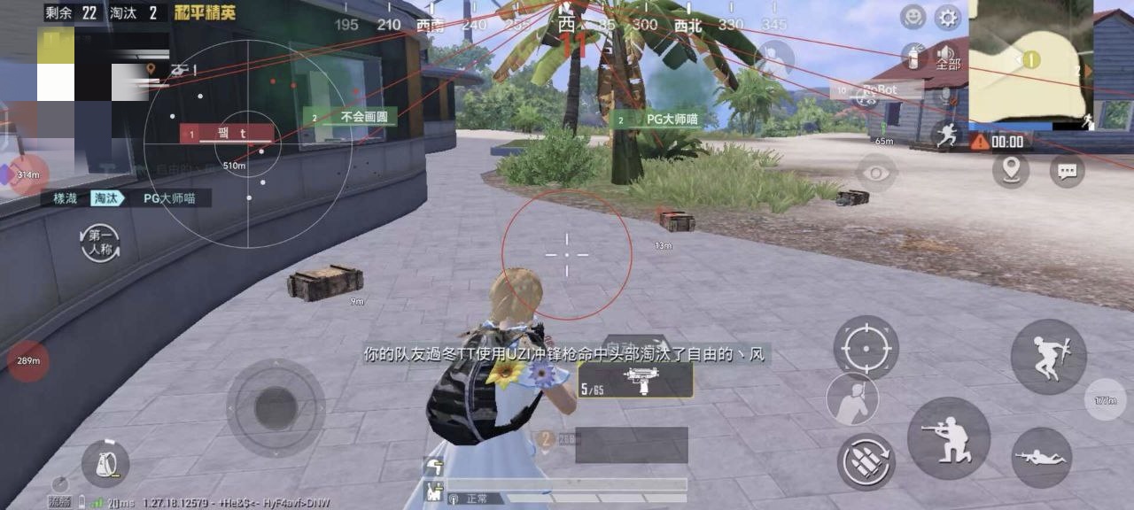 和平精英辅助【巡查员直装V1.0】人物透视 雷达预警 全车美化 枪械美化 人物加速